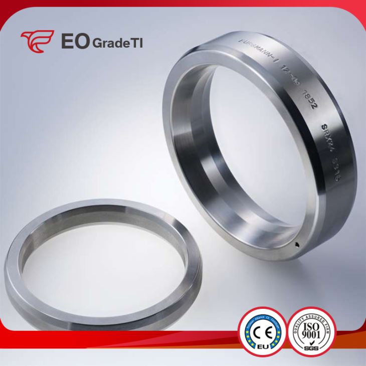 Corrosion Resistance Titanium Ring Joint Flanges