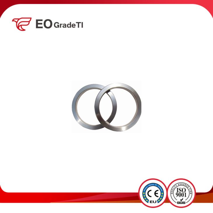 High Strength Titanium Ring Joint Flanges